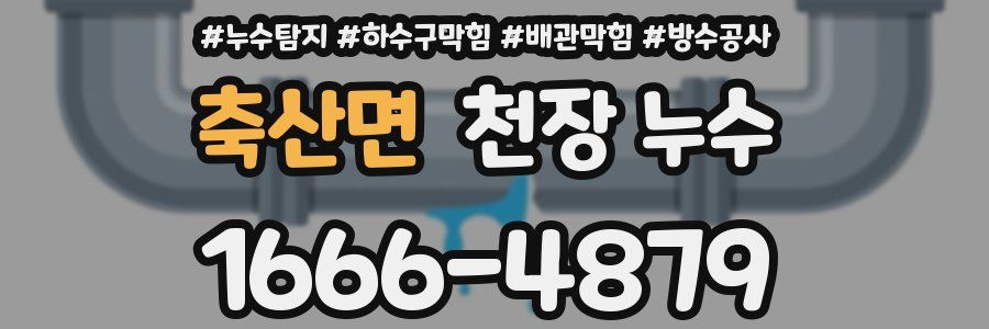 축산면 천장 누수