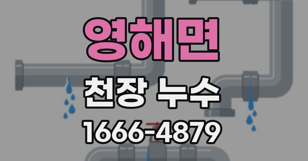 영해면 천장 누수