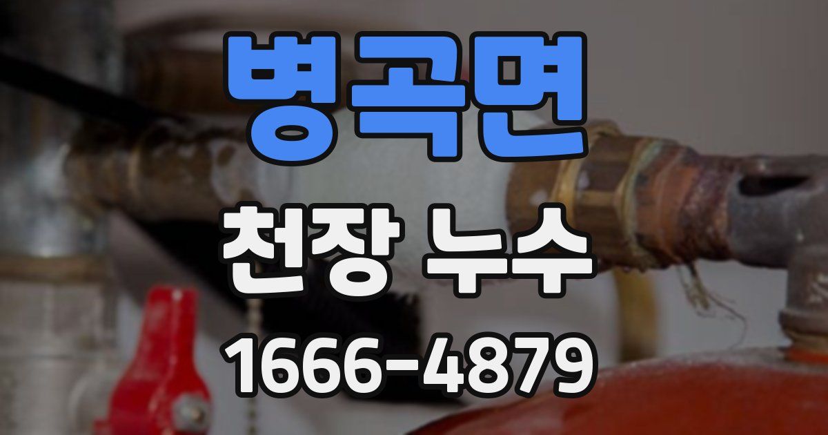 병곡면 천장 누수