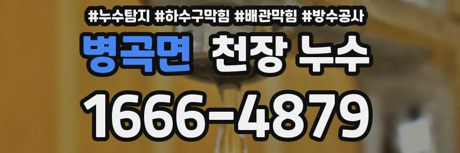 병곡면 천장 누수