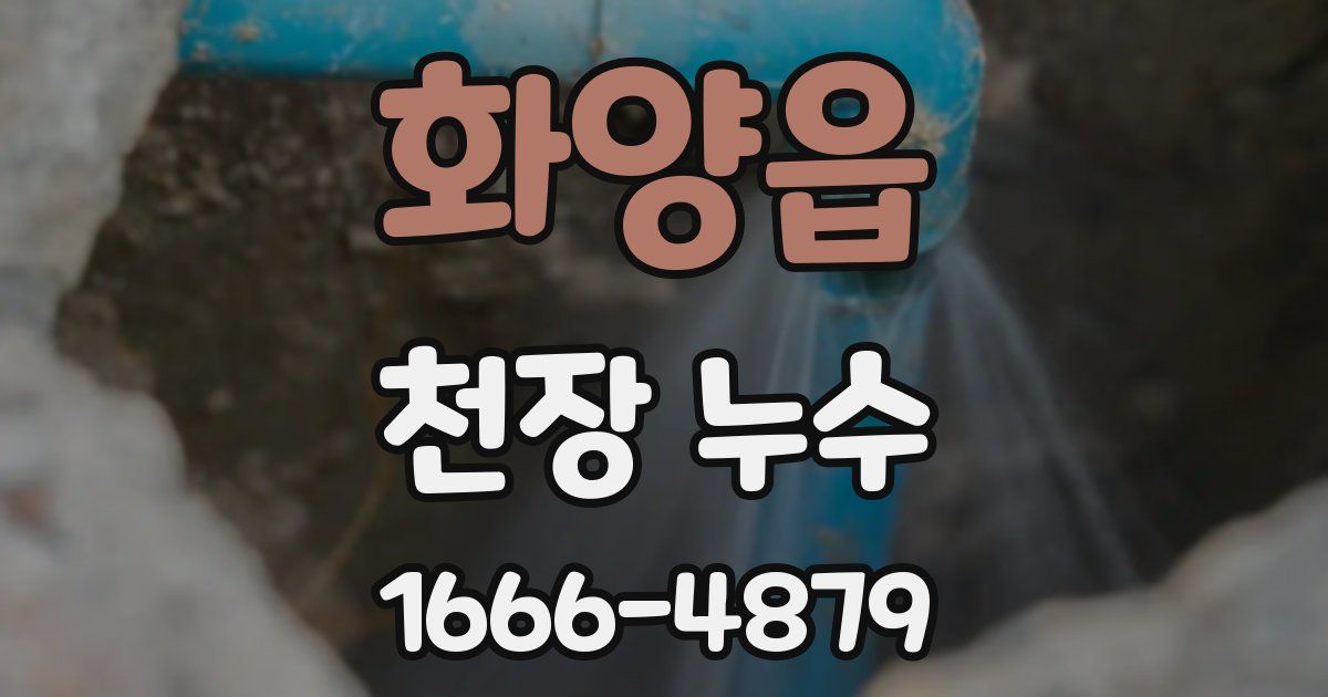 화양읍 천장 누수
