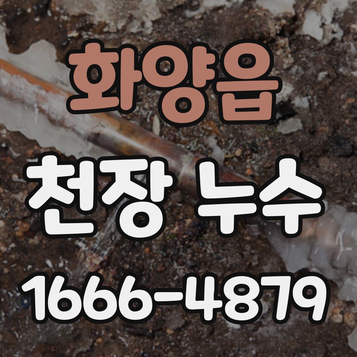 화양읍 천장 누수