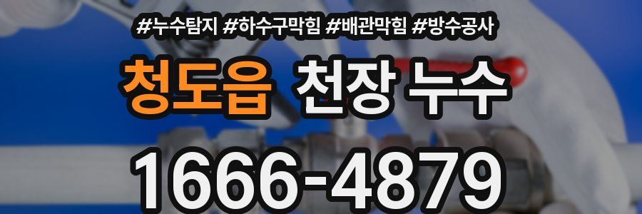 청도읍 천장 누수