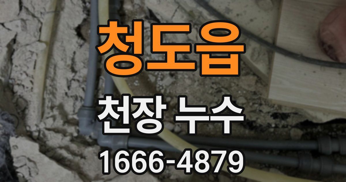 청도읍 천장 누수