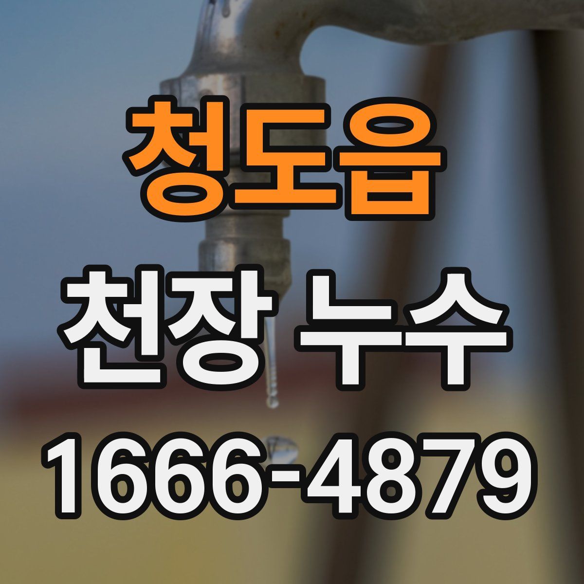 청도읍 천장 누수