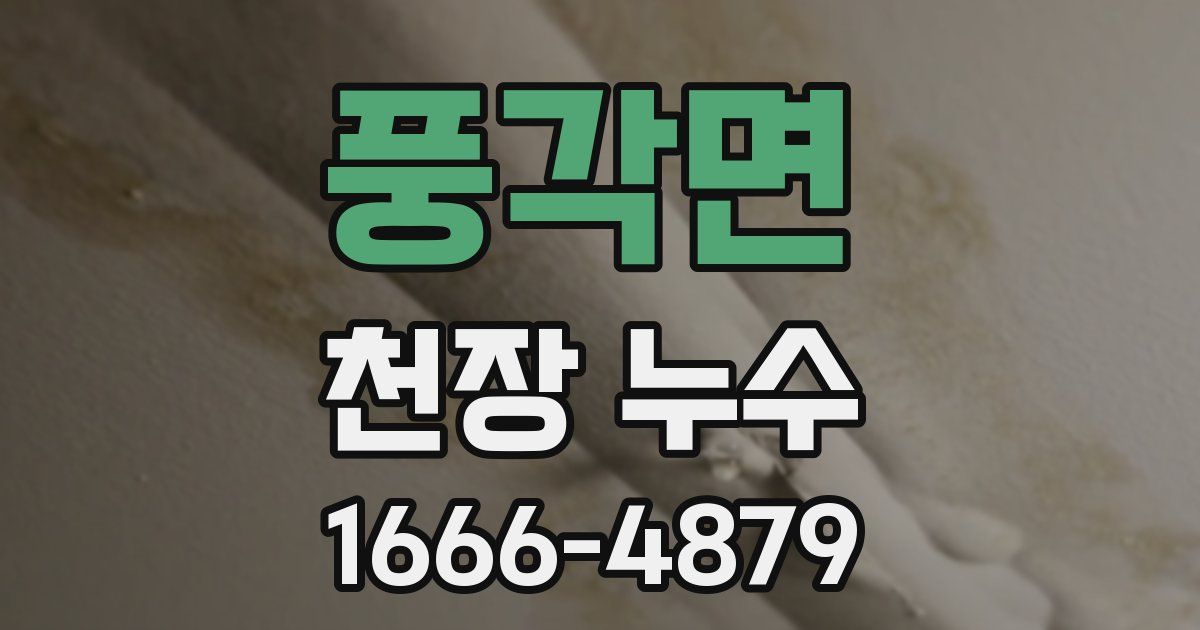 풍각면 천장 누수