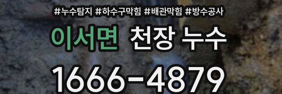 이서면 천장 누수