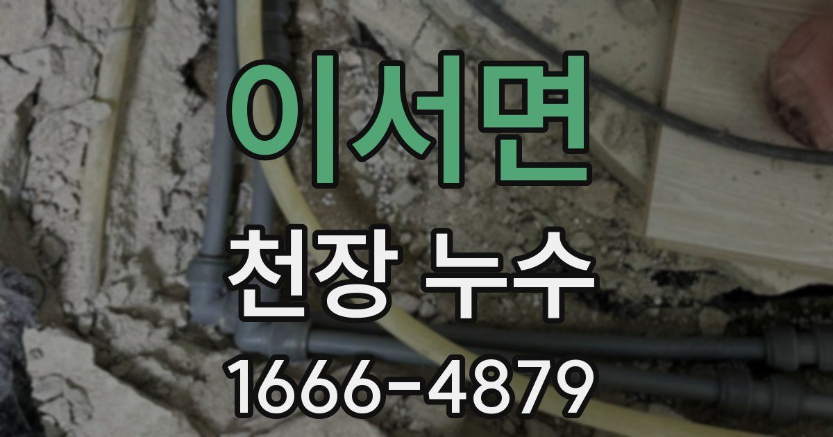 이서면 천장 누수