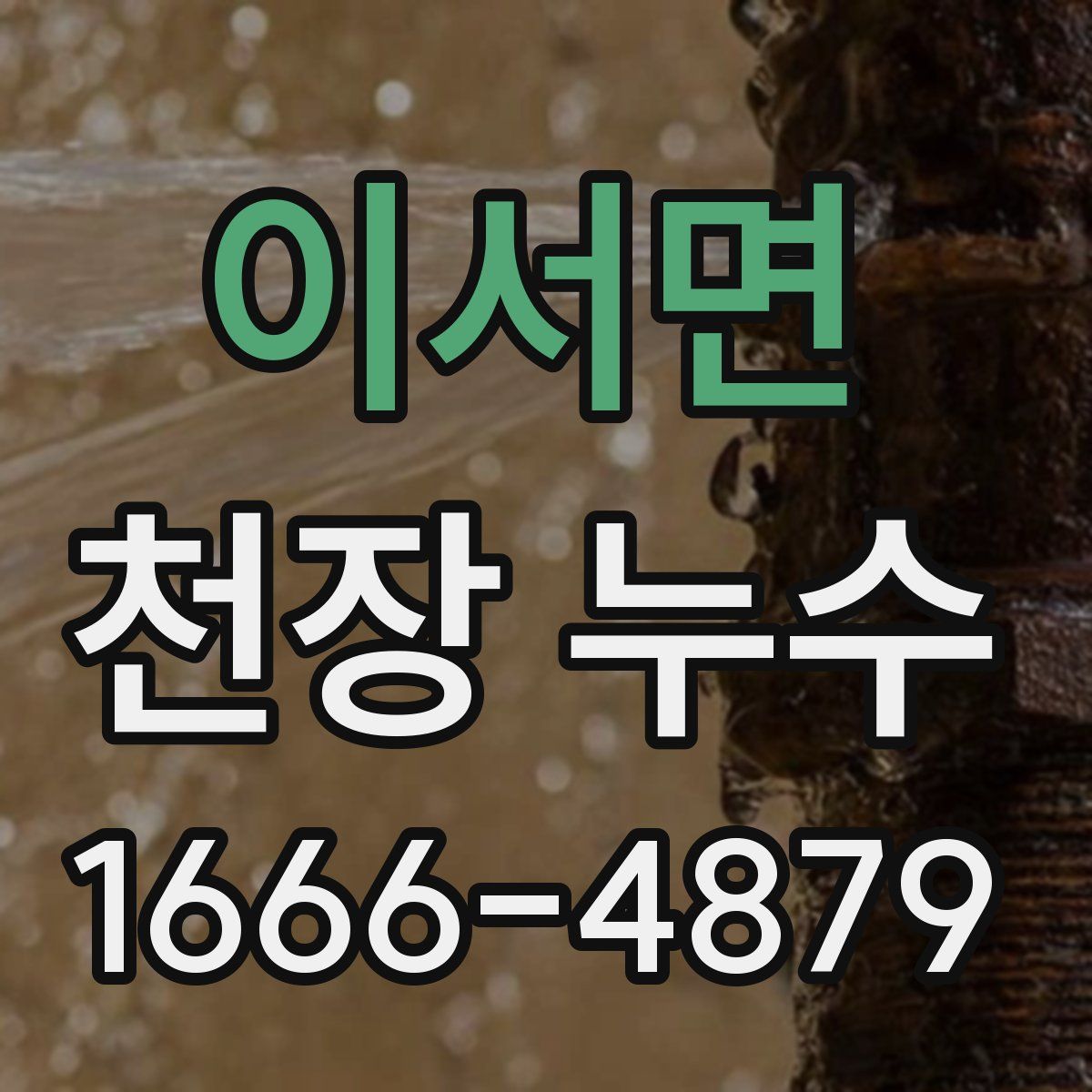 이서면 천장 누수