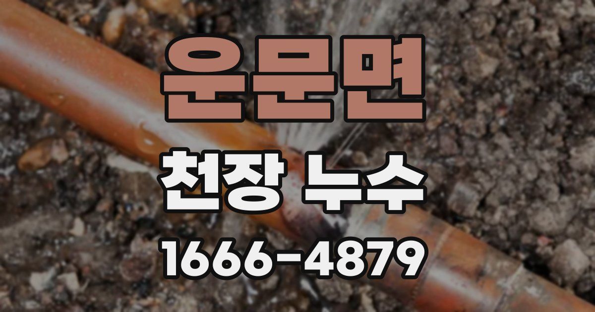 운문면 천장 누수