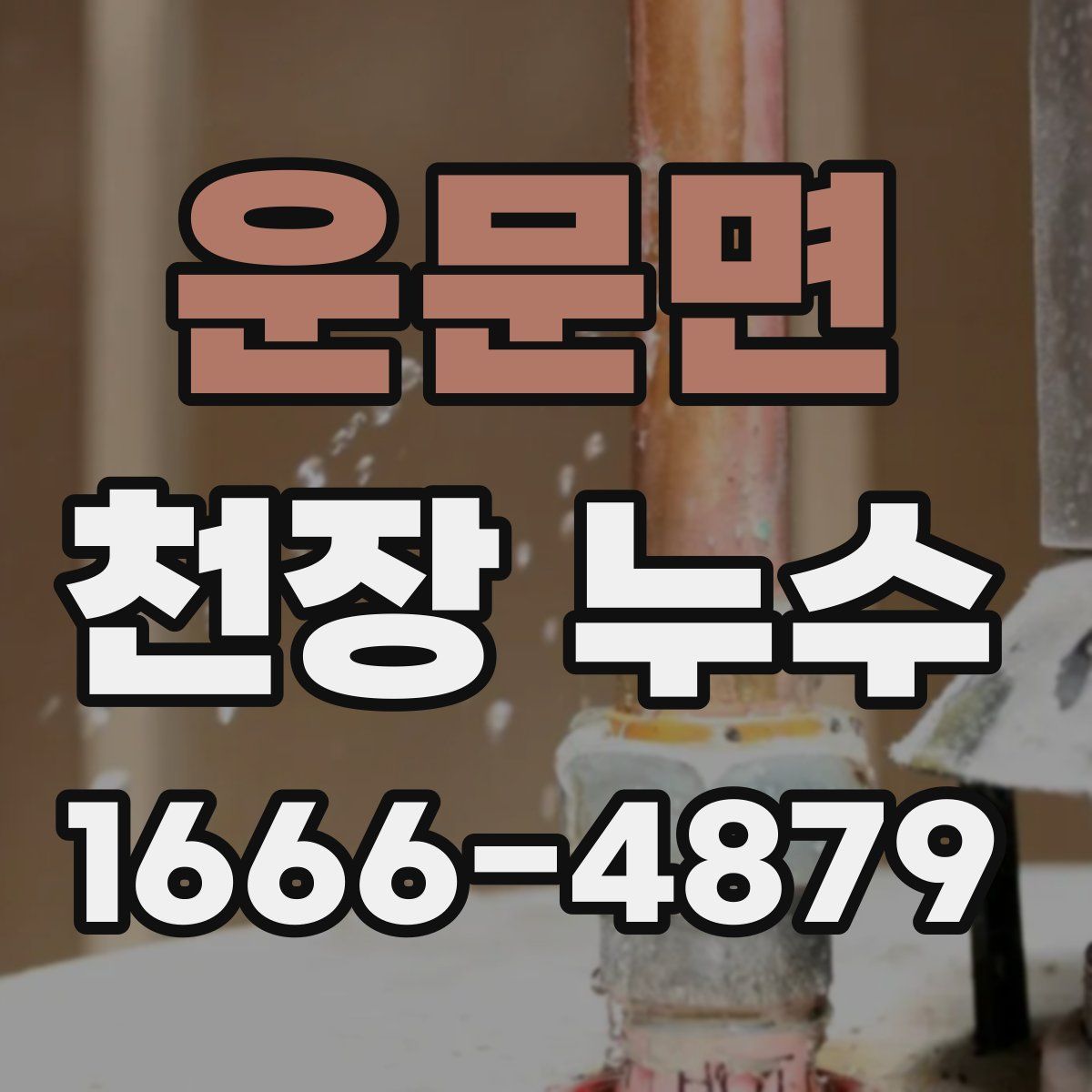 운문면 천장 누수