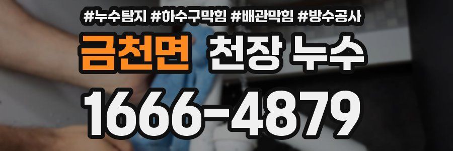 금천면 천장 누수