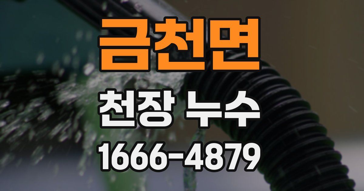 금천면 천장 누수