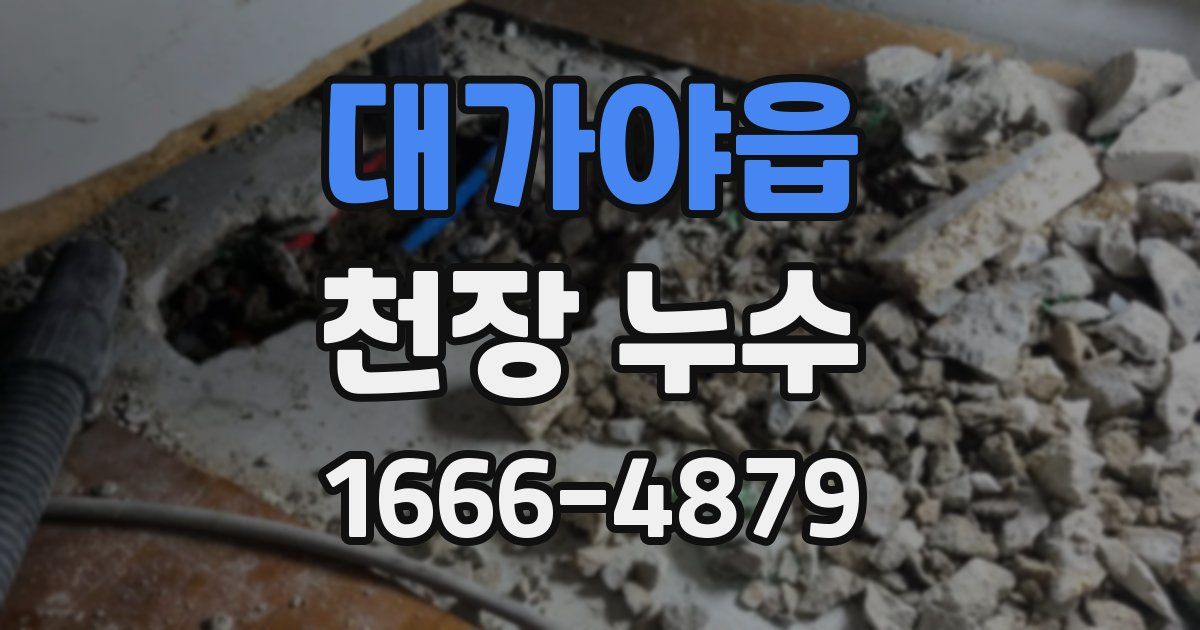 대가야읍 천장 누수