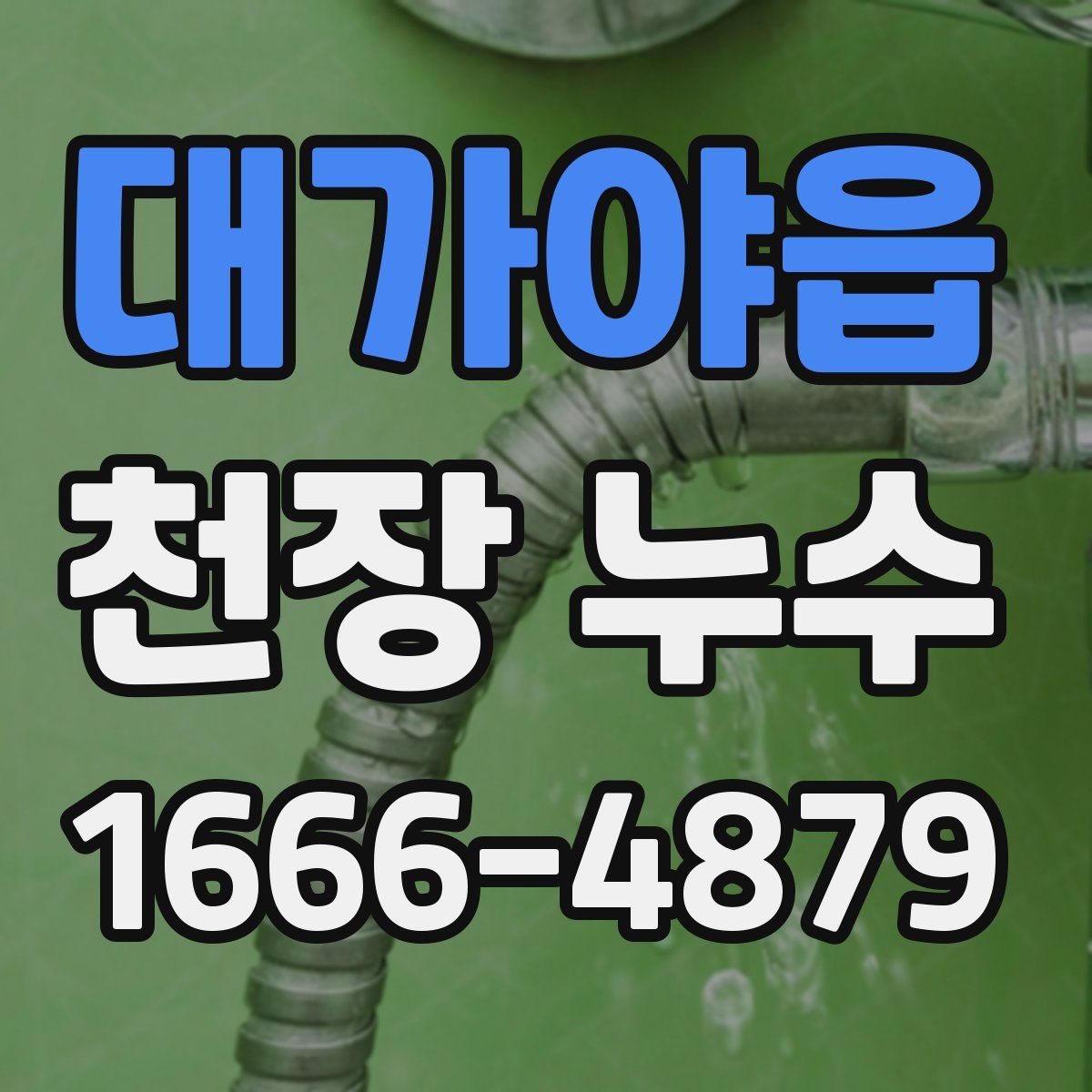 대가야읍 천장 누수