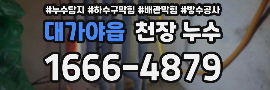 대가야읍 천장 누수
