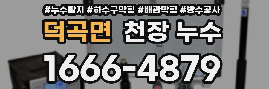 덕곡면 천장 누수