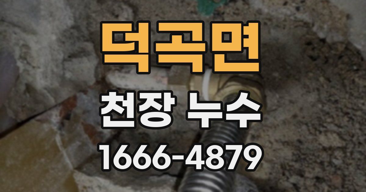 덕곡면 천장 누수