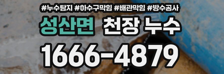 성산면 천장 누수