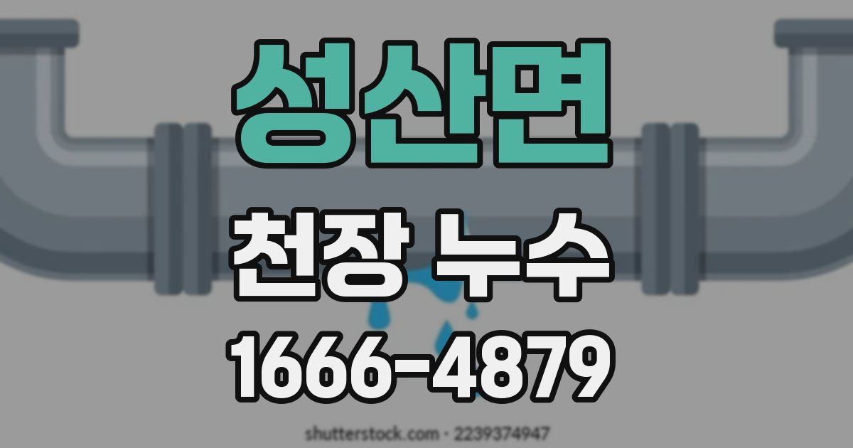 성산면 천장 누수