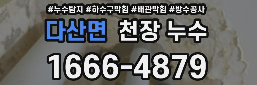 다산면 천장 누수