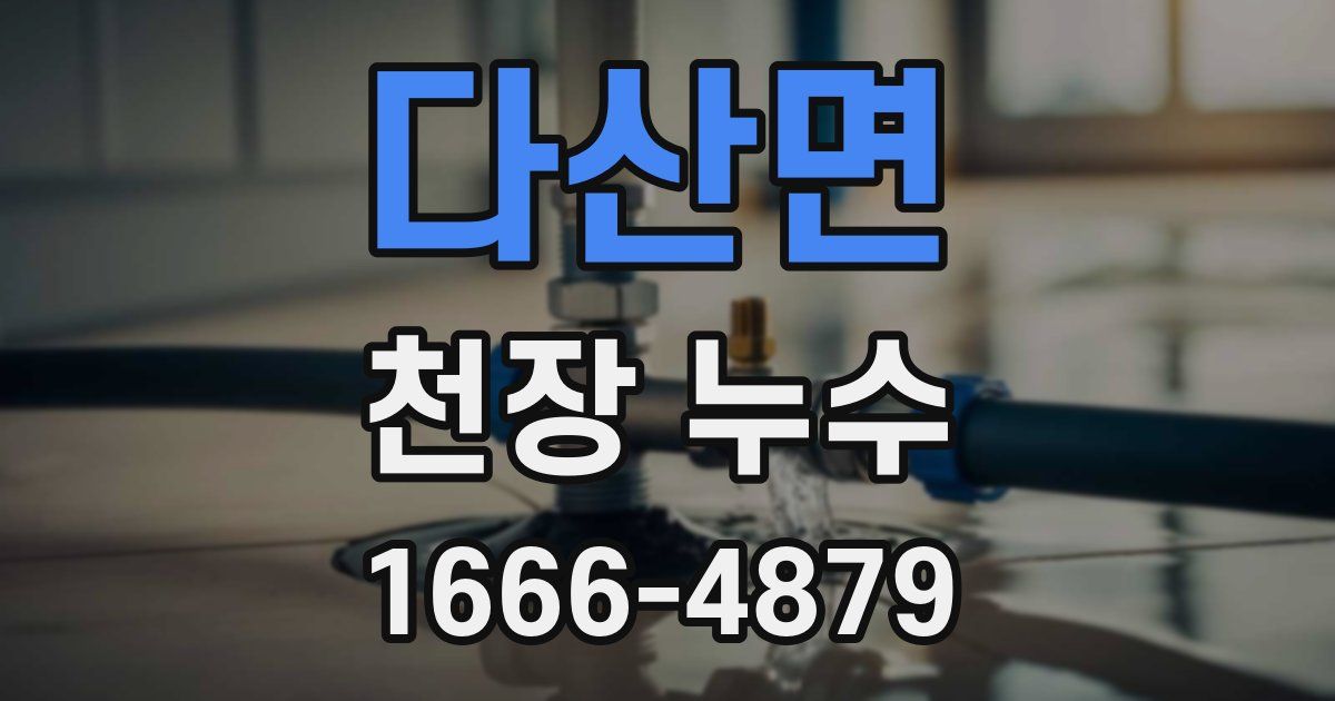 다산면 천장 누수