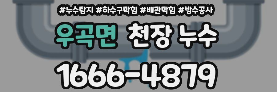 우곡면 천장 누수
