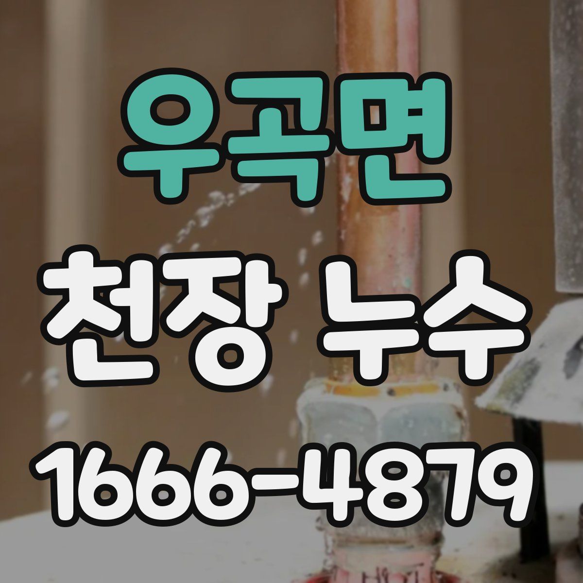 우곡면 천장 누수