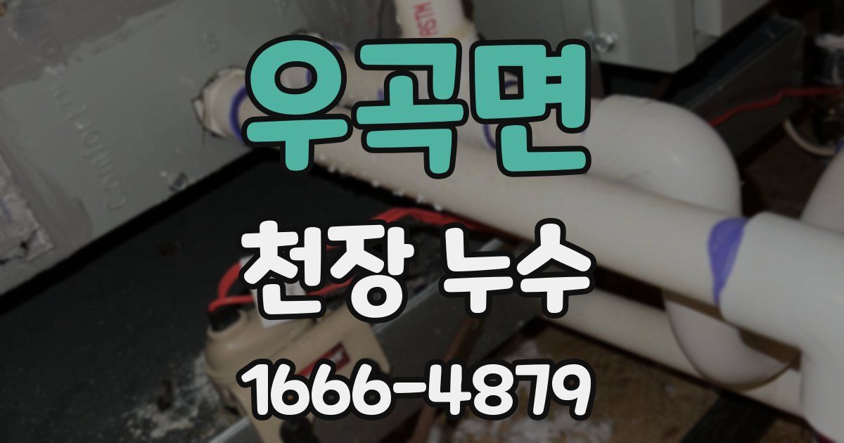 우곡면 천장 누수