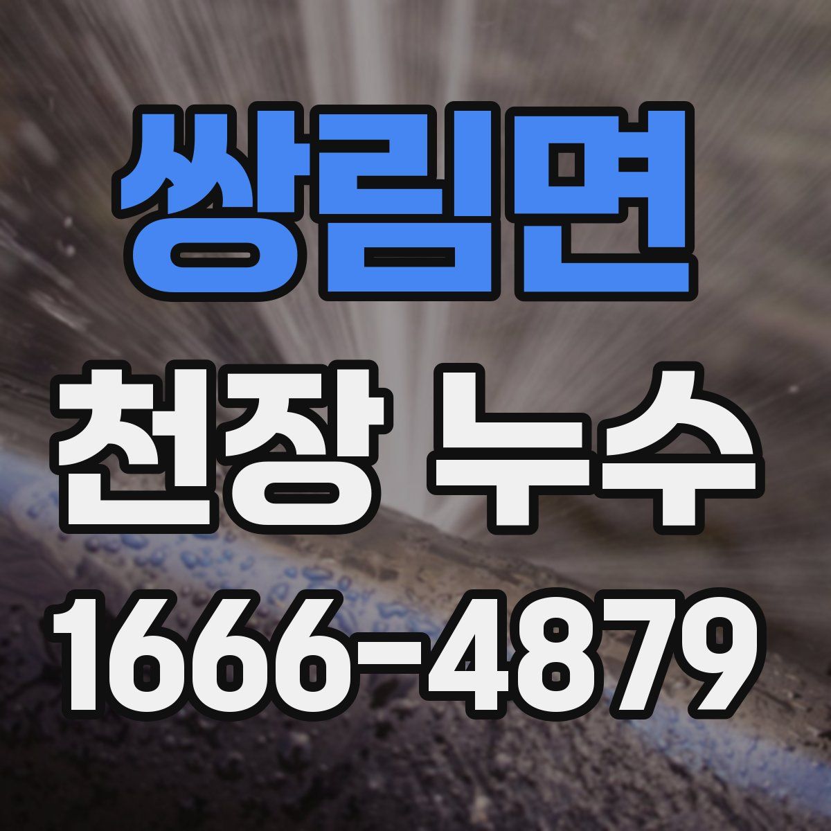 쌍림면 천장 누수