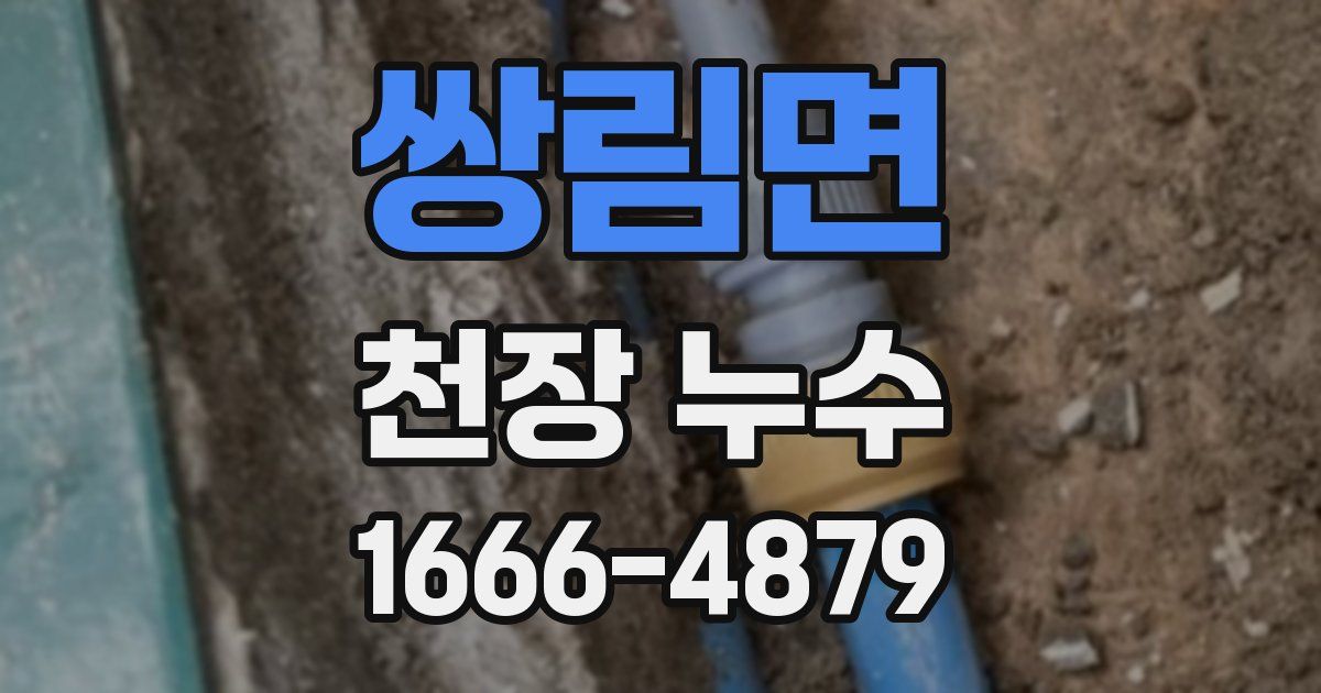 쌍림면 천장 누수