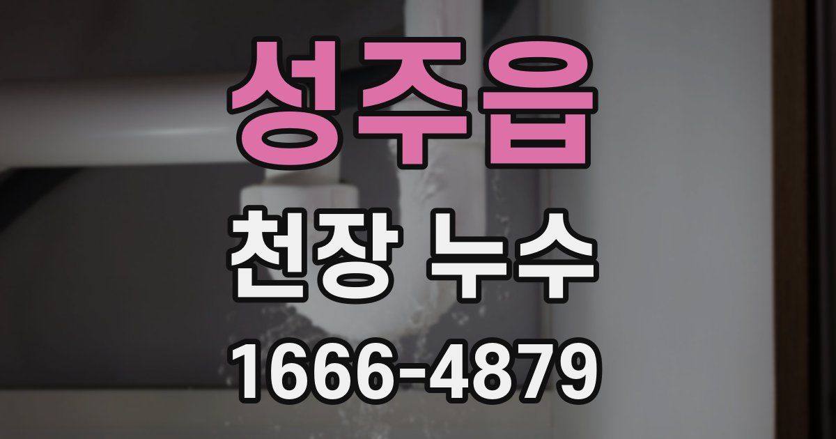 성주읍 천장 누수