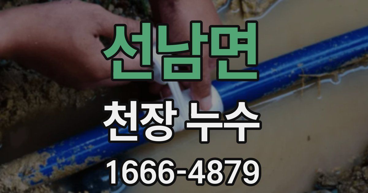 선남면 천장 누수