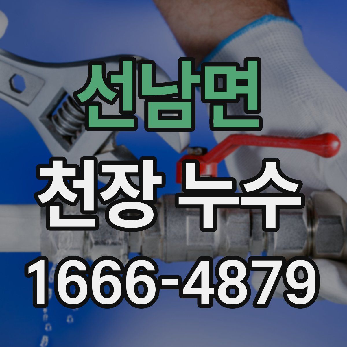 선남면 천장 누수