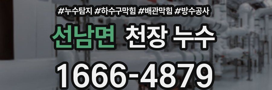 선남면 천장 누수