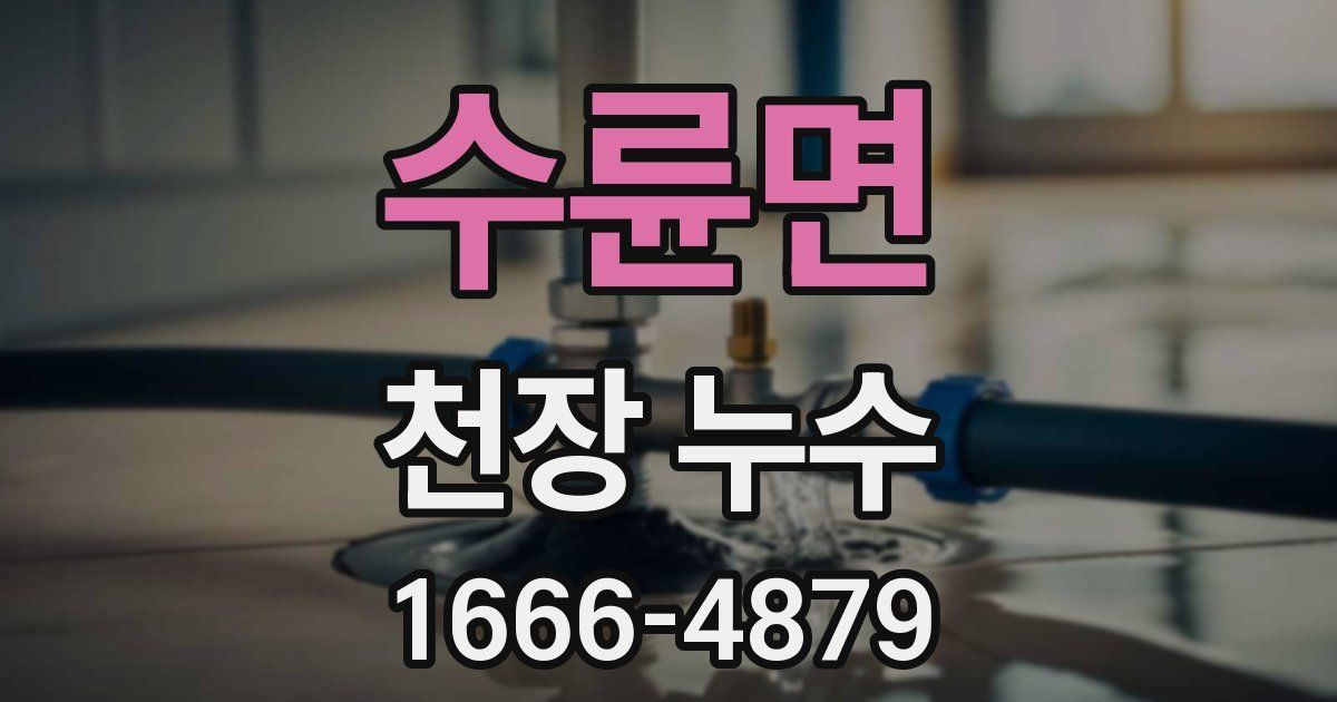 수륜면 천장 누수