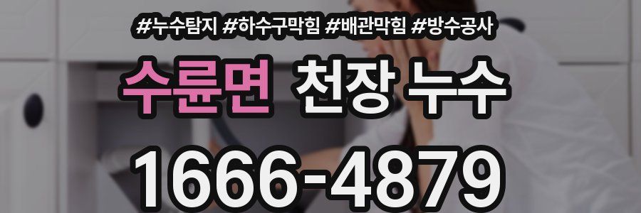수륜면 천장 누수