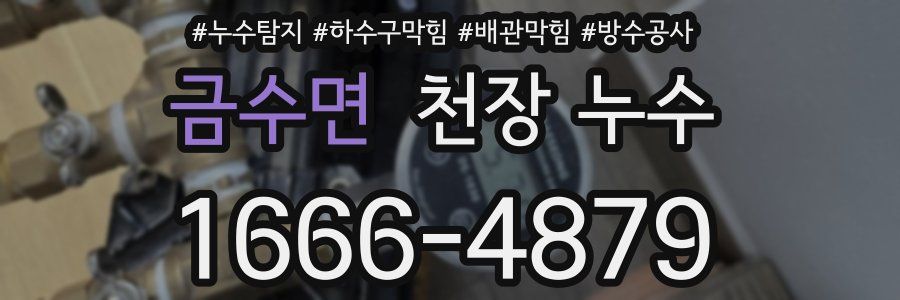 금수면 천장 누수