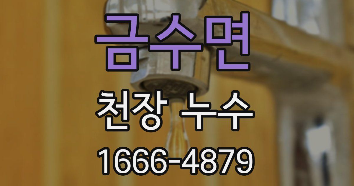 금수면 천장 누수