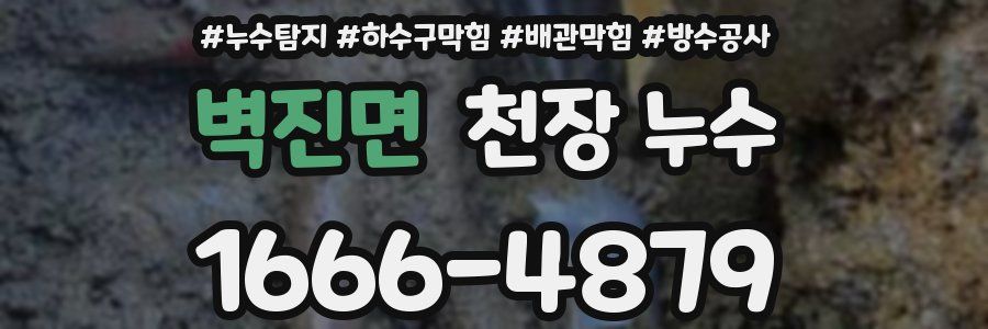 벽진면 천장 누수