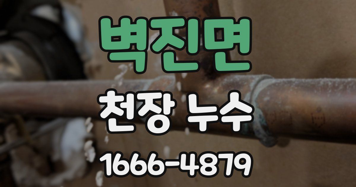 벽진면 천장 누수