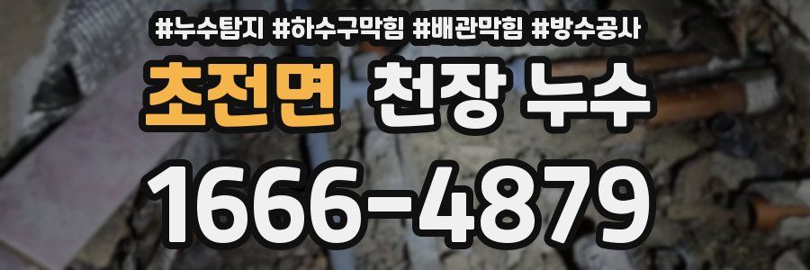 초전면 천장 누수