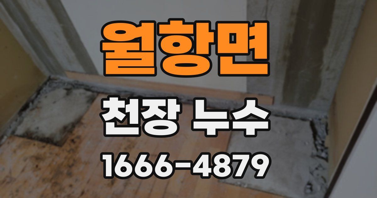 월항면 천장 누수