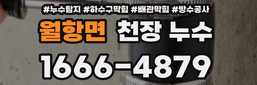 월항면 천장 누수