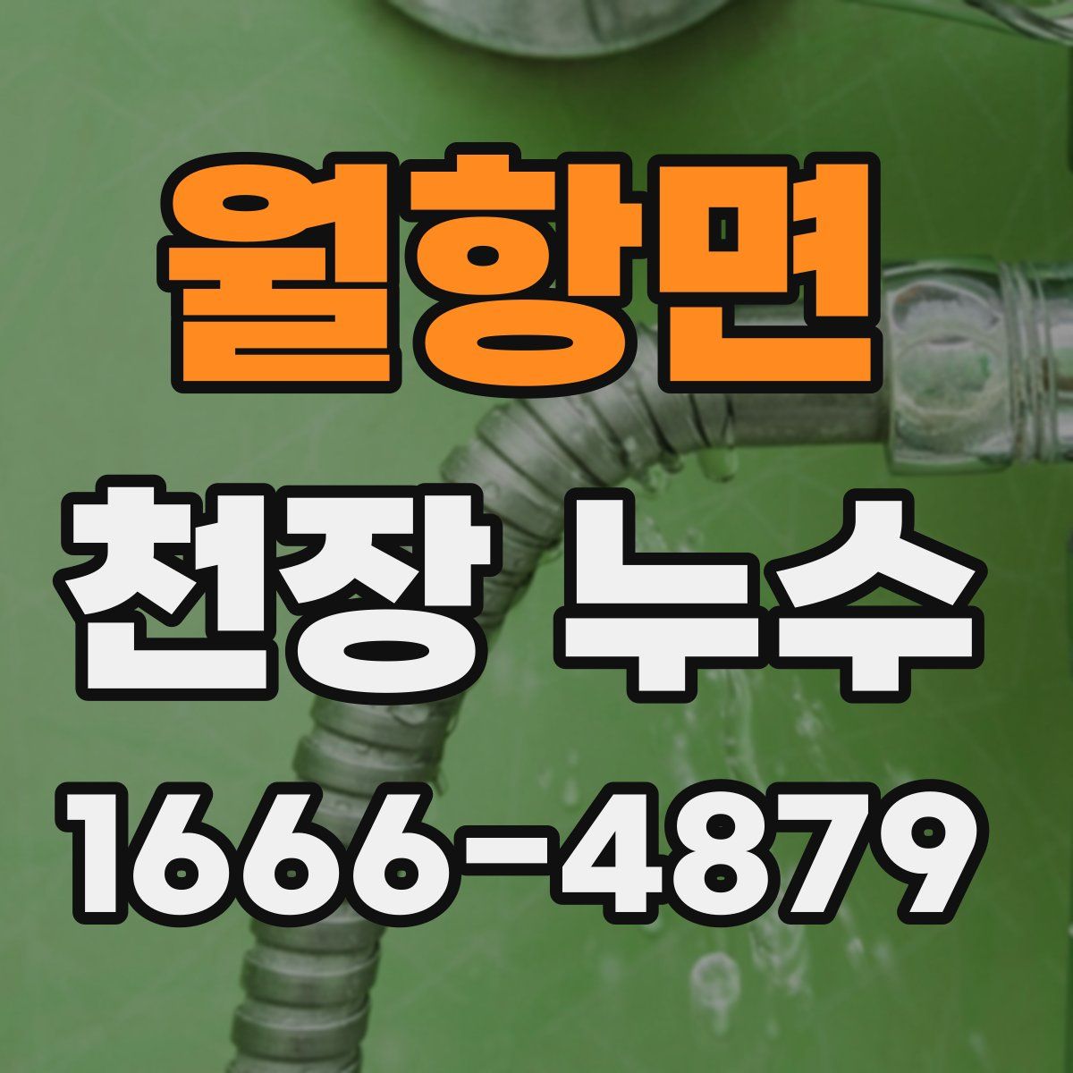 월항면 천장 누수