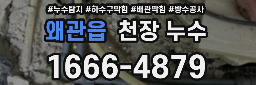 왜관읍 천장 누수