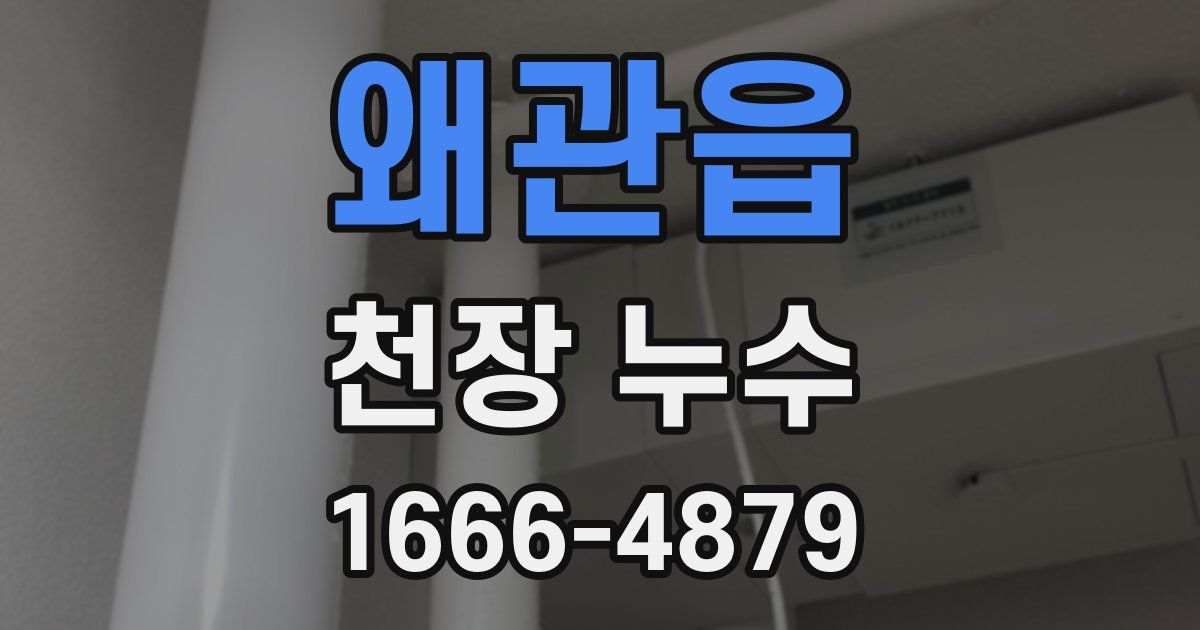 왜관읍 천장 누수