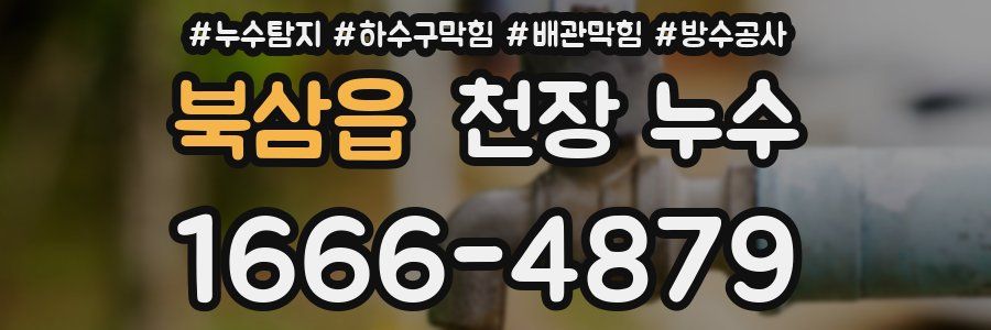 북삼읍 천장 누수
