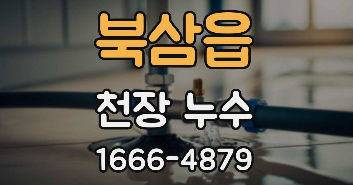 북삼읍 천장 누수