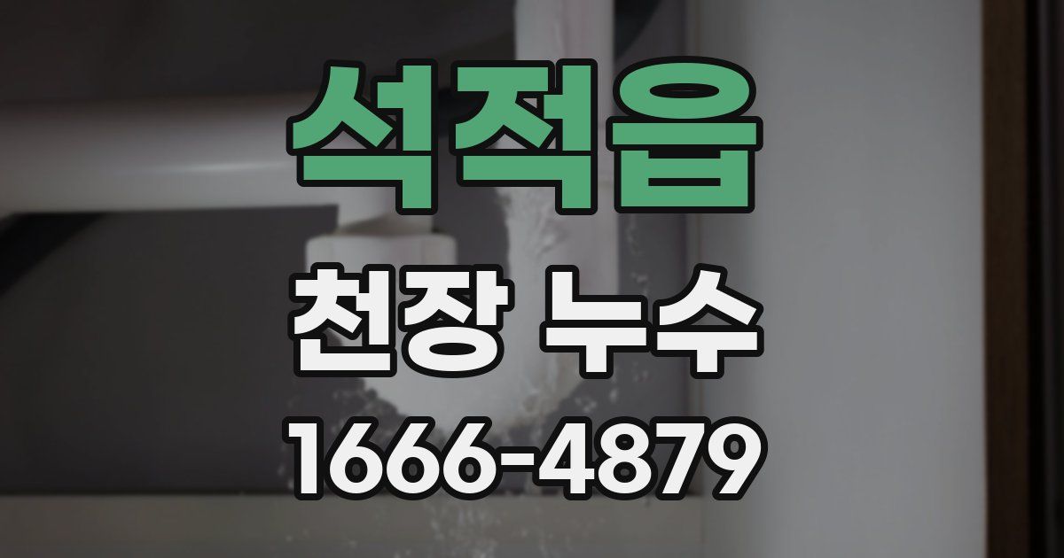 석적읍 천장 누수